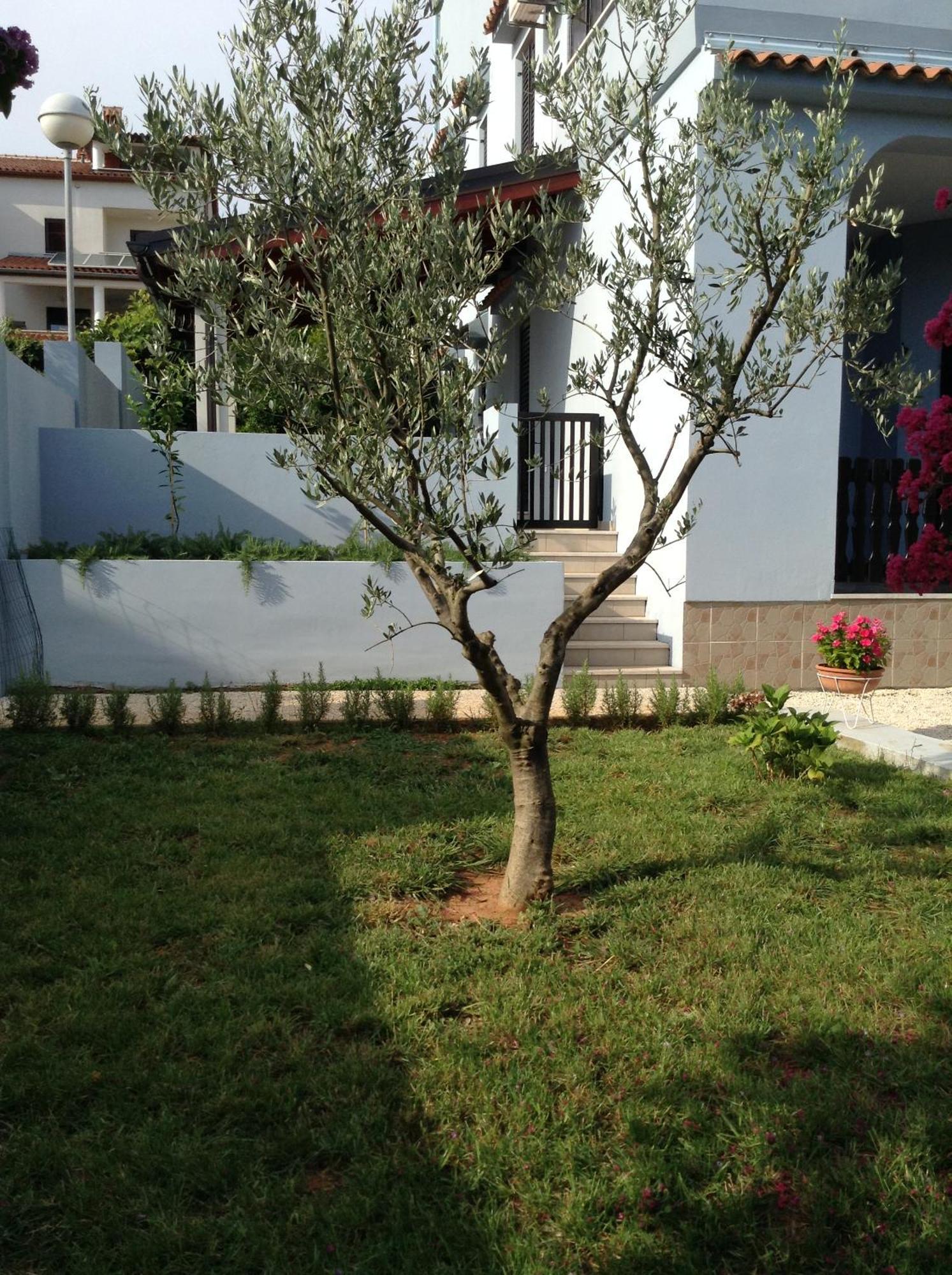 Ferienwohnung The Blue House Vinkuran Exterior foto